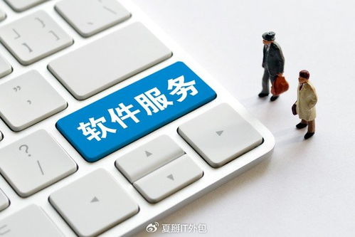 軟件開發板塊震蕩走強，上海IT運維外包迎發展新機遇